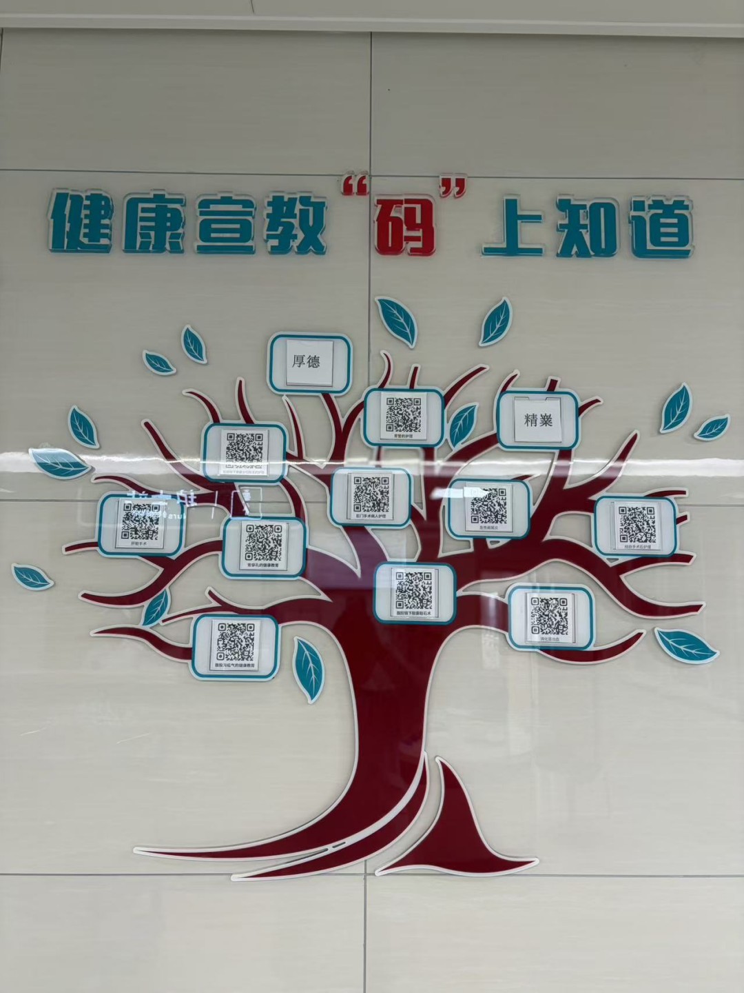 图片 5 图片 5